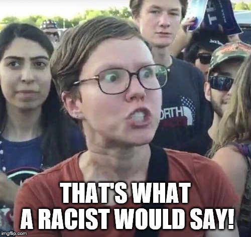 Triggered feminist | THAT'S WHAT A RACIST WOULD SAY! | image tagged in triggered feminist | made w/ Imgflip meme maker