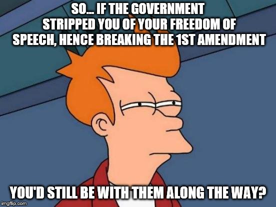 Futurama Fry Meme | SO... IF THE GOVERNMENT STRIPPED YOU OF YOUR FREEDOM OF SPEECH, HENCE BREAKING THE 1ST AMENDMENT YOU'D STILL BE WITH THEM ALONG THE WAY? | image tagged in memes,futurama fry | made w/ Imgflip meme maker