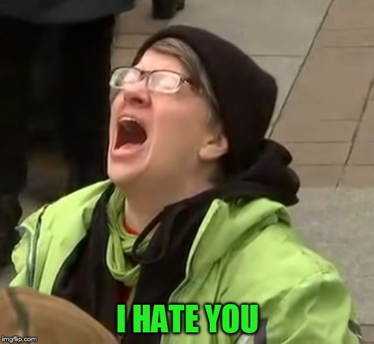 snowflake | I HATE YOU | image tagged in snowflake | made w/ Imgflip meme maker