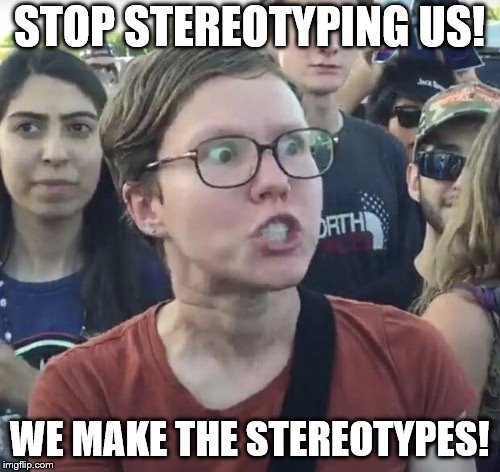 Triggered feminist | STOP STEREOTYPING US! WE MAKE THE STEREOTYPES! | image tagged in triggered feminist | made w/ Imgflip meme maker