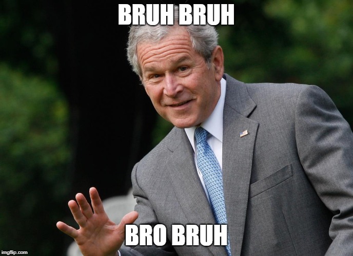 George W Bush | BRUH BRUH BRO BRUH | image tagged in george w bush | made w/ Imgflip meme maker