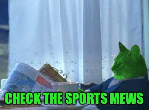 I Should Buy a Boat RayCat | CHECK THE SPORTS MEWS | image tagged in i should buy a boat raycat | made w/ Imgflip meme maker