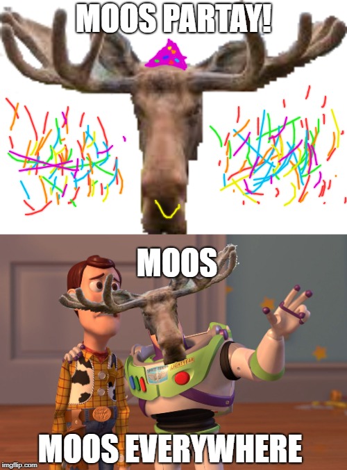 Moos Partay | MOOS PARTAY! MOOS; MOOS EVERYWHERE | image tagged in memes,x x everywhere,moose | made w/ Imgflip meme maker