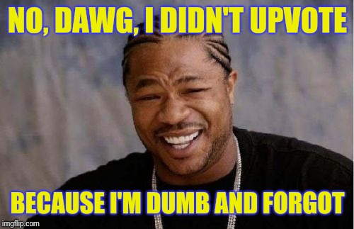 Xibit | NO, DAWG, I DIDN'T UPVOTE BECAUSE I'M DUMB AND FORGOT | image tagged in xibit | made w/ Imgflip meme maker