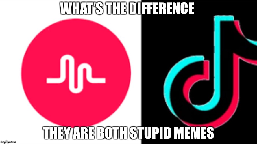 WHAT’S THE DIFFERENCE; THEY ARE BOTH STUPID MEMES | image tagged in memes | made w/ Imgflip meme maker