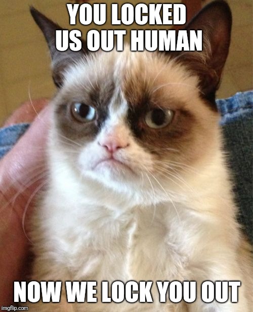 Grumpy Cat Meme | YOU LOCKED US OUT HUMAN NOW WE LOCK YOU OUT | image tagged in memes,grumpy cat | made w/ Imgflip meme maker