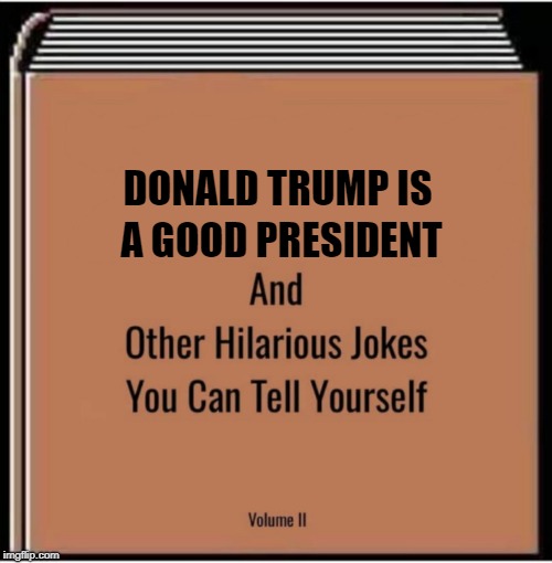 And other hilarious jokes you can tell yourself | A GOOD PRESIDENT; DONALD TRUMP IS | image tagged in and other hilarious jokes you can tell yourself | made w/ Imgflip meme maker