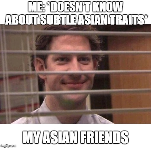 Jim Office Blinds | ME: *DOESN'T KNOW ABOUT SUBTLE ASIAN TRAITS*; MY ASIAN FRIENDS | image tagged in jim office blinds | made w/ Imgflip meme maker