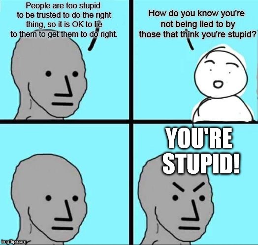 useful idiot | How do you know you're not being lied to by those that think you're stupid? People are too stupid to be trusted to do the right thing, so it is OK to lie to them to get them to do right. YOU'RE STUPID! | image tagged in npc meme | made w/ Imgflip meme maker