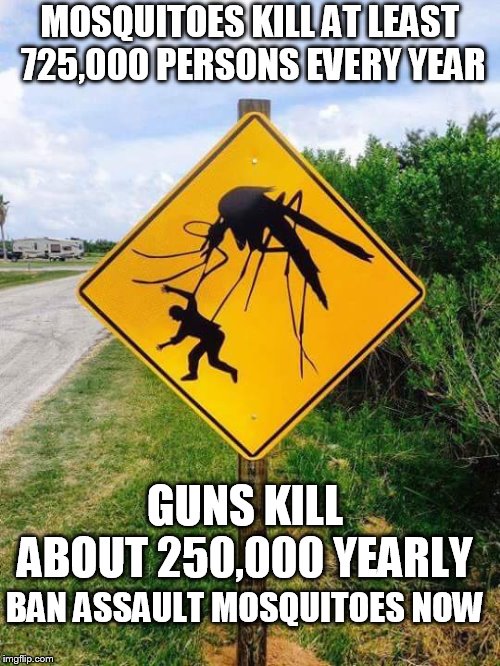 deadlier than you think | MOSQUITOES KILL AT LEAST 725,000 PERSONS EVERY YEAR; GUNS KILL ABOUT 250,000 YEARLY; BAN ASSAULT MOSQUITOES NOW | image tagged in mosquito,gun control,ban it | made w/ Imgflip meme maker