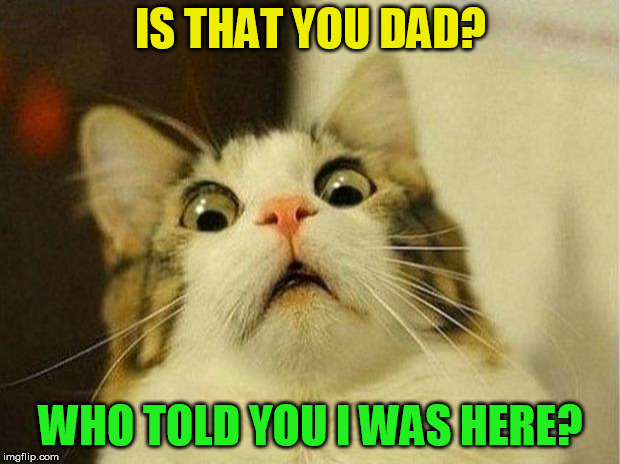 Scared Cat Meme | IS THAT YOU DAD? WHO TOLD YOU I WAS HERE? | image tagged in memes,scared cat | made w/ Imgflip meme maker