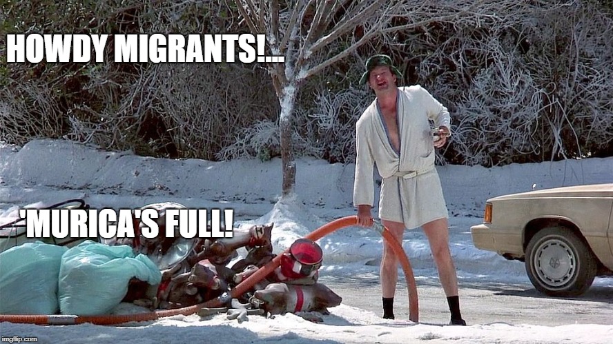 Cousin Eddie | HOWDY MIGRANTS!... 'MURICA'S FULL! | image tagged in cousin eddie | made w/ Imgflip meme maker