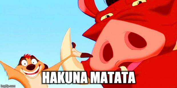 Timon and Pumbaa | HAKUNA MATATA | image tagged in timon and pumbaa | made w/ Imgflip meme maker