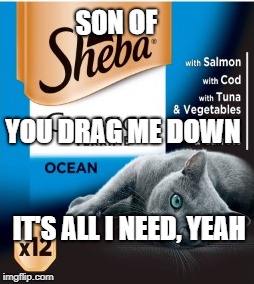 Slowdive - Machine Gun | SON OF; YOU DRAG ME DOWN; IT'S ALL I NEED, YEAH | image tagged in slowdive,machine gun,souvlaki,shoegaze meme,shoegaze memes,slowdive machine gun | made w/ Imgflip meme maker