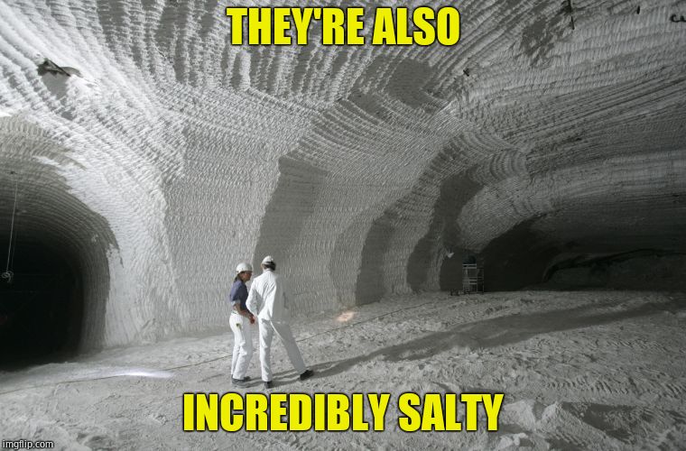Salt Miners | THEY'RE ALSO INCREDIBLY SALTY | image tagged in salt miners | made w/ Imgflip meme maker