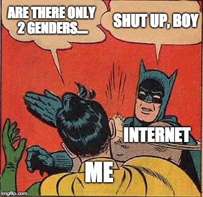 ... | ARE THERE ONLY 2 GENDERS.... SHUT UP, BOY; INTERNET; ME | image tagged in memes,batman slapping robin | made w/ Imgflip meme maker