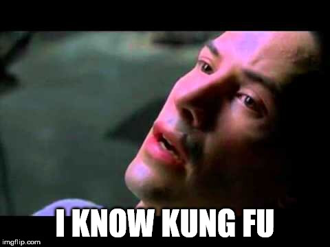 Neo kung fu | I KNOW KUNG FU | image tagged in neo kung fu | made w/ Imgflip meme maker