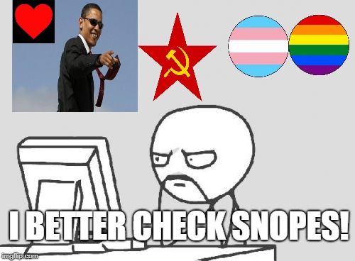 When anybody who isn't left of Bernie Sanders posts a meme...leftists be like: | I BETTER CHECK SNOPES! | image tagged in memes,computer guy,leftists,snopes,fact check,democrats | made w/ Imgflip meme maker