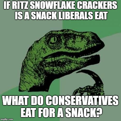 Philosoraptor | IF RITZ SNOWFLAKE CRACKERS IS A SNACK LIBERALS EAT; WHAT DO CONSERVATIVES EAT FOR A SNACK? | image tagged in memes,philosoraptor | made w/ Imgflip meme maker