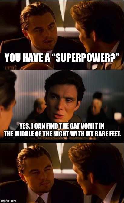 Inception Meme | YOU HAVE A “SUPERPOWER?”; YES. I CAN FIND THE CAT VOMIT IN THE MIDDLE OF THE NIGHT WITH MY BARE FEET. | image tagged in memes,inception | made w/ Imgflip meme maker