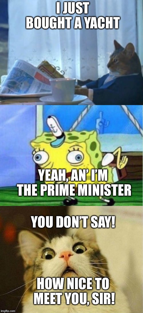 When sarcasm backfires | I JUST BOUGHT A YACHT; YEAH, AN’ I’M THE PRIME MINISTER; YOU DON’T SAY! HOW NICE TO MEET YOU, SIR! | image tagged in memes,i should buy a boat cat,scared cat,mocking spongebob | made w/ Imgflip meme maker