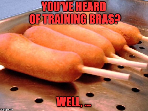 Corn dog | YOU’VE HEARD OF TRAINING BRAS? WELL, ... | image tagged in corn dog | made w/ Imgflip meme maker