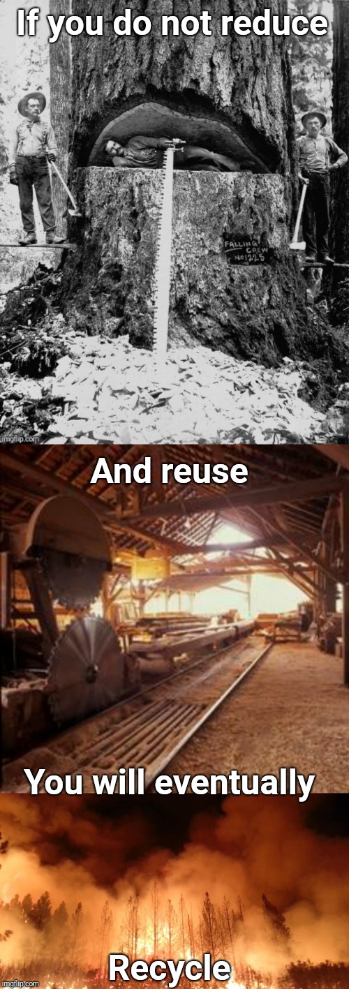Forestry 101 | If you do not reduce; And reuse; You will eventually; Recycle | image tagged in forest fire,tree,california,wildfires,forest,wood | made w/ Imgflip meme maker
