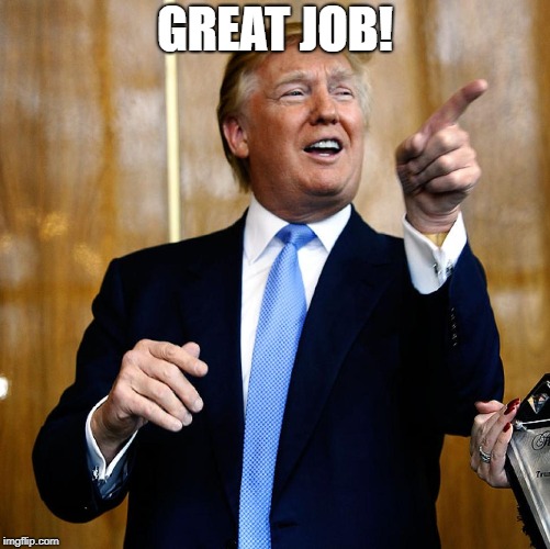 Donal Trump Birthday | GREAT JOB! | image tagged in donal trump birthday | made w/ Imgflip meme maker