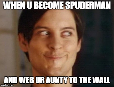 Spiderman Peter Parker Meme | WHEN U BECOME SPUDERMAN; AND WEB UR AUNTY TO THE WALL | image tagged in memes,spiderman peter parker | made w/ Imgflip meme maker
