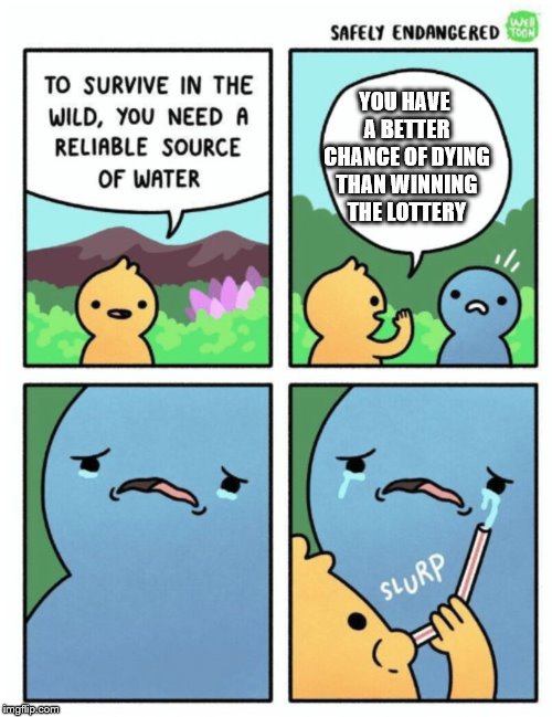 surviving off of cold facts | YOU HAVE A BETTER CHANCE OF DYING THAN WINNING THE LOTTERY | image tagged in survive in the wild | made w/ Imgflip meme maker