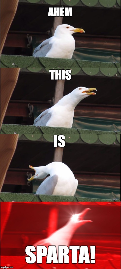 Inhaling Seagull Meme | AHEM; THIS; IS; SPARTA! | image tagged in memes,inhaling seagull | made w/ Imgflip meme maker