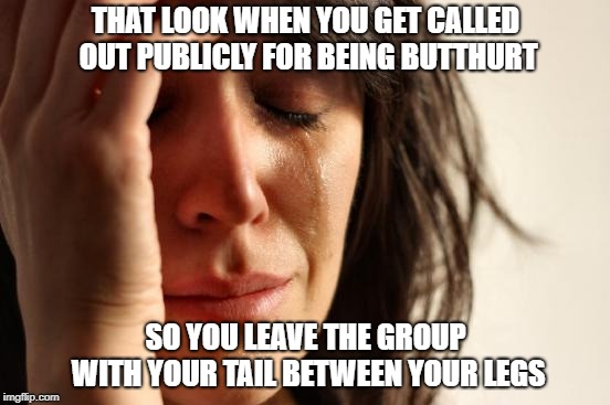 First World Problems | THAT LOOK WHEN YOU GET CALLED OUT PUBLICLY FOR BEING BUTTHURT; SO YOU LEAVE THE GROUP WITH YOUR TAIL BETWEEN YOUR LEGS | image tagged in memes,first world problems | made w/ Imgflip meme maker
