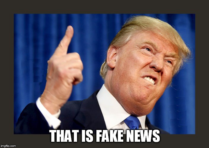 trump angry | THAT IS FAKE NEWS | image tagged in trump angry | made w/ Imgflip meme maker