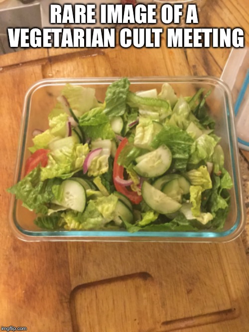 salad | RARE IMAGE OF A VEGETARIAN CULT MEETING | image tagged in salad | made w/ Imgflip meme maker