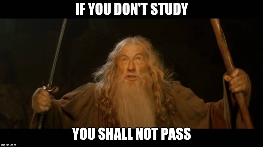 I am daring because this is my own  | IF YOU DON'T STUDY; YOU SHALL NOT PASS | image tagged in memes,you shall not pass gandalf | made w/ Imgflip meme maker