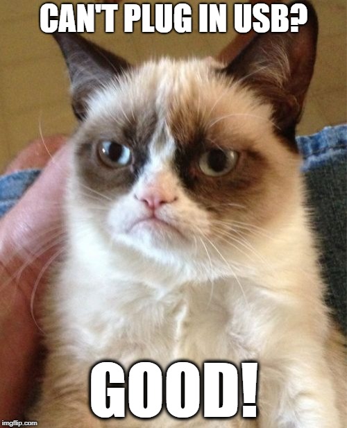 Grumpy Cat Meme | CAN'T PLUG IN USB? GOOD! | image tagged in memes,grumpy cat | made w/ Imgflip meme maker