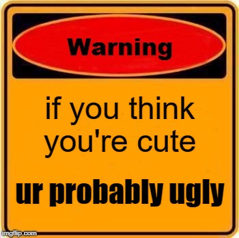 Warning Sign Meme | if you think you're cute; ur probably ugly | image tagged in memes,warning sign | made w/ Imgflip meme maker