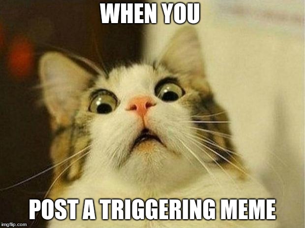 Scared Cat | WHEN YOU; POST A TRIGGERING MEME | image tagged in memes,scared cat | made w/ Imgflip meme maker