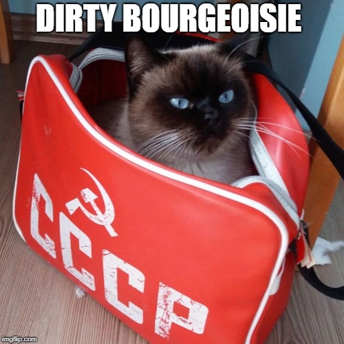 Communist Cat | DIRTY BOURGEOISIE | image tagged in communist cat | made w/ Imgflip meme maker