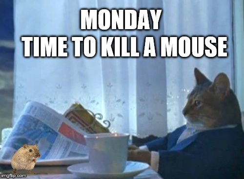 monday | MONDAY; TIME TO KILL A MOUSE | image tagged in memes,i should buy a boat cat,monday,funny,funny memes,funny meme | made w/ Imgflip meme maker