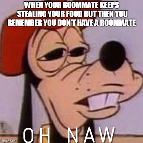 OH NAW | WHEN YOUR ROOMMATE KEEPS STEALING YOUR FOOD BUT THEN YOU REMEMBER YOU DON'T HAVE A ROOMMATE | image tagged in oh naw | made w/ Imgflip meme maker