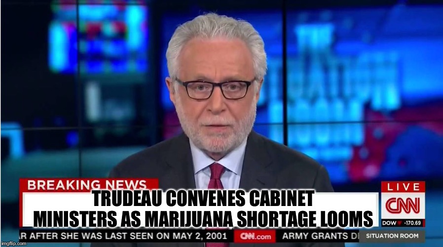 CNN "Wolf of Fake News" Fanfiction | TRUDEAU CONVENES CABINET MINISTERS AS MARIJUANA SHORTAGE LOOMS | image tagged in cnn wolf of fake news fanfiction | made w/ Imgflip meme maker