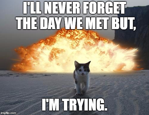 cat explosion | I'LL NEVER FORGET THE DAY WE MET BUT, I'M TRYING. | image tagged in cat explosion | made w/ Imgflip meme maker
