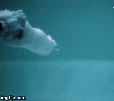 Underwater bullet | image tagged in gifs,underwater bullet,underwater,bullet,shooting,cool | made w/ Imgflip video-to-gif maker