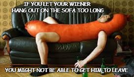 Wiener on the sofa | IF YOU LET YOUR WIENER HANG OUT ON THE SOFA TOO LONG; YOU MIGHT NOT BE ABLE TO GET HIM TO LEAVE | image tagged in wiener,weiner hang out,sofa wiener | made w/ Imgflip meme maker