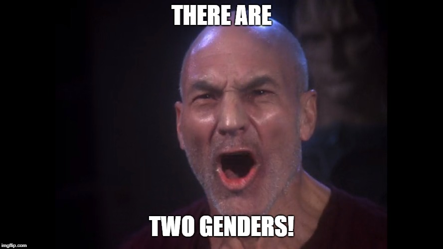 There Are Four Lights! | THERE ARE; TWO GENDERS! | image tagged in there are four lights | made w/ Imgflip meme maker