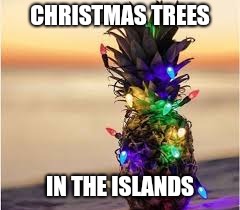 Christmas Vacation Week (From Dec 2nd to Dec 8th) A Thparky event | CHRISTMAS TREES; IN THE ISLANDS | image tagged in pineapple,christmas,event,christmas vacation week,merry christmas | made w/ Imgflip meme maker