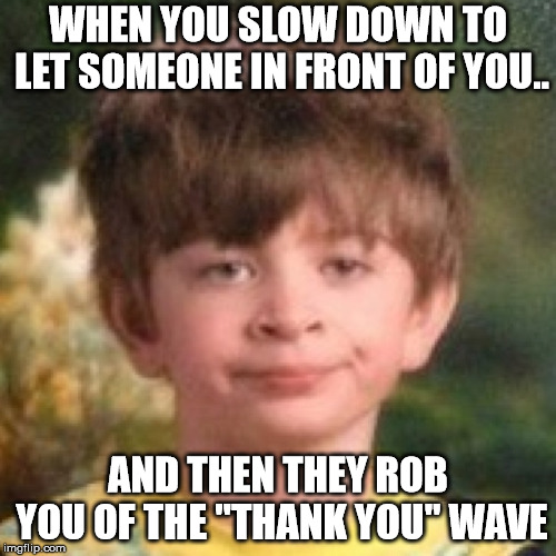 Annoyed face | WHEN YOU SLOW DOWN TO LET SOMEONE IN FRONT OF YOU.. AND THEN THEY ROB YOU OF THE "THANK YOU" WAVE | image tagged in annoyed face | made w/ Imgflip meme maker