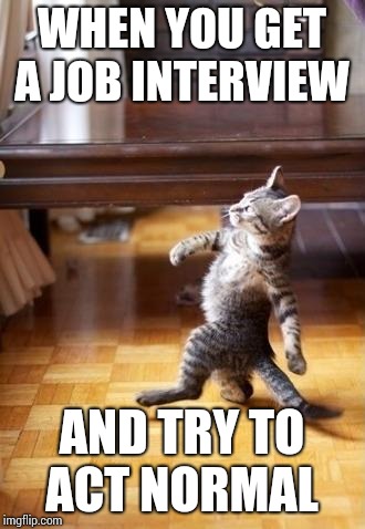Job interview  | WHEN YOU GET A JOB INTERVIEW; AND TRY TO ACT NORMAL | image tagged in memes,cool cat stroll | made w/ Imgflip meme maker
