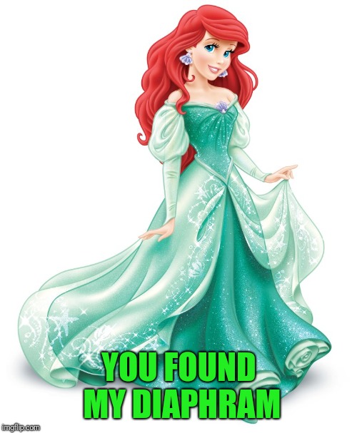 YOU FOUND MY DIAPHRAM | made w/ Imgflip meme maker